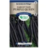 Graines - Haricot Nain Purple Queen -Flore Riche Soldes Magasin 36810331 1