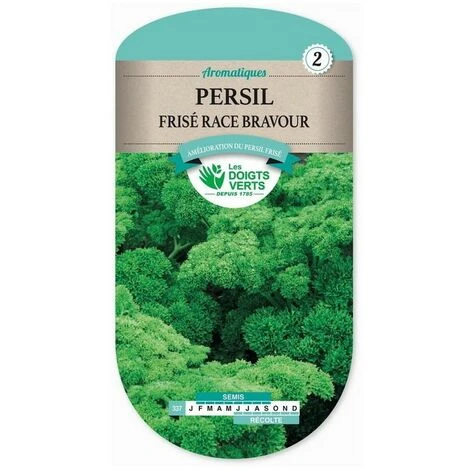 Graines- Persil Frisé Race Bravour 4 Graines- Persil Frisé Race Bravour – Image 2