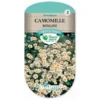 Graines - Camomille -Flore Riche Soldes Magasin 36842932 1