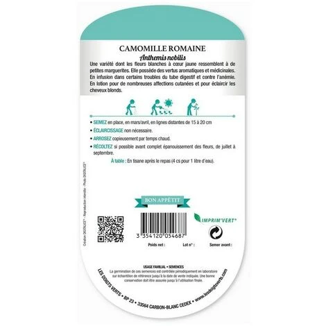 Graines - Camomille 4 Graines - Camomille – Image 2