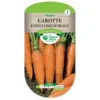 Graines - Carotte Longue Lisse De Meaux 1 Graines - Carotte Longue Lisse De Meaux -Flore Riche Soldes Magasin 36874726 1