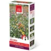 Prairies Fleuries : Prairie Durable 30 M2 -Flore Riche Soldes Magasin 4103448 1