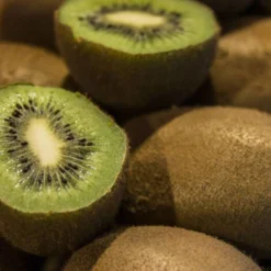 Kiwi Chinensis Hayward (Femelle)/Godet -Flore Riche Soldes Magasin 43678647 5