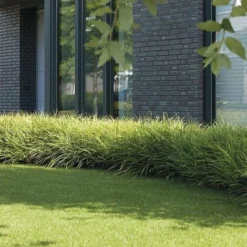 Pelouse Artificielle Luxury Class Résistant Aux UV Windsor Hauteur: 25 Mm 200 X 50 Cm -Flore Riche Soldes Magasin 46904820 5