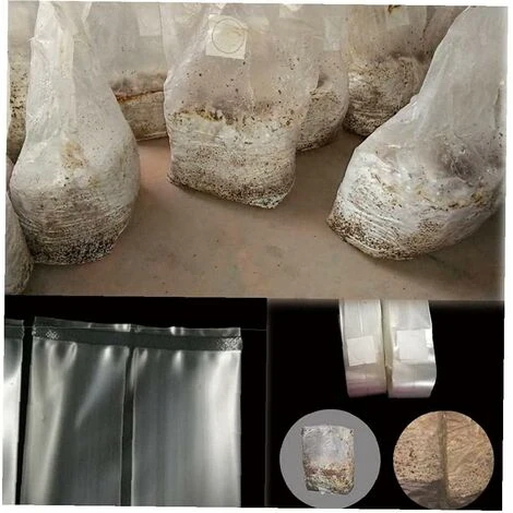 Sacs De Poussée De Champignons Champignons Spawn Crown Sacs Sacs Scellables Spawn/Sacs Sacs De Culture 15X35cm Fontainebleau Pack De 50 4 Sacs De Poussée De Champignons Champignons Spawn Crown Sacs Sacs Scellables Spawn/Sacs Sacs De Culture 15X35cm Fontainebleau Pack De 50 – Image 2