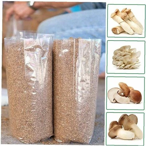 Sacs De Poussée De Champignons Champignons Spawn Crown Sacs Sacs Scellables Spawn/Sacs Sacs De Culture 15X35cm Fontainebleau Pack De 50 6 Sacs De Poussée De Champignons Champignons Spawn Crown Sacs Sacs Scellables Spawn/Sacs Sacs De Culture 15X35cm Fontainebleau Pack De 50 – Image 4