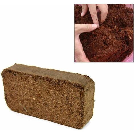 Noix De Coco Bloc Fibre De Coco Naturel Coir Coco Brique Plantation De Noix De Coco Du Sol Pour La Semence, Compost 20X10cm Fontainebleau 3 Noix De Coco Bloc Fibre De Coco Naturel Coir Coco Brique Plantation De Noix De Coco Du Sol Pour La Semence, Compost 20X10cm Fontainebleau