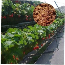 Noix De Coco Bloc Fibre De Coco Naturel Coir Coco Brique Plantation De Noix De Coco Du Sol Pour La Semence, Compost 20X10cm Fontainebleau 9 Noix De Coco Bloc Fibre De Coco Naturel Coir Coco Brique Plantation De Noix De Coco Du Sol Pour La Semence, Compost 20X10cm Fontainebleau -Flore Riche Soldes Magasin 47207010 3