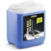 Kärcher Nettoyant Haute Pression (5l) KARCHER 6.295-360.0 -Flore Riche Soldes Magasin 50603054 1