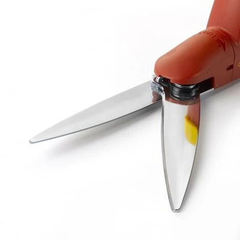 Cisaille à Gazon Classique Outils WOLF - OJD 4 Cisaille à Gazon Classique Outils WOLF - OJD – Image 2