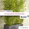 Haie Brise Vue Balcon Bambou 'Rufa' 5L En KIT 1 Haie Brise Vue Balcon Bambou 'Rufa' 5L En KIT -Flore Riche Soldes Magasin 50988234 1