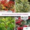 Kit Arbustes Persistant, Rustique Et Fleuri - 4 Variétées -4 Plantes En Pot De 4L 1 Kit Arbustes Persistant, Rustique Et Fleuri - 4 Variétées -4 Plantes En Pot De 4L -Flore Riche Soldes Magasin 51131616 1