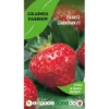 Graines Passion , Sachet De Graines Fraise Grandian F1 -Flore Riche Soldes Magasin 51771073 1