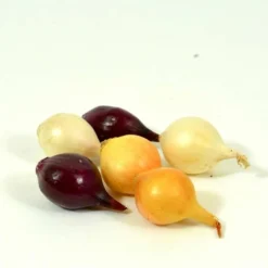 Mélange D'oignons Red Baron, Snowball, Stuttgarter. Bulbes à Planter - Filet 250 G -Flore Riche Soldes Magasin 52542964 3