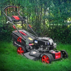 Tondeuse Thermique Tractée 161CC Avec Moteur Briggs And Stratton, Mulching Et éjection Latérale - Elem Garden 11 Tondeuse Thermique Tractée 161CC Avec Moteur Briggs And Stratton, Mulching Et éjection Latérale - Elem Garden -Flore Riche Soldes Magasin 52963798 5