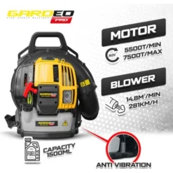 Souffleur Thermique Dorsal 52CC - 281km/H - Gardeo Pro -Flore Riche Soldes Magasin 53908995 3