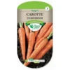 Graines - Carotte D'Amsterdam -Flore Riche Soldes Magasin 54159463 1