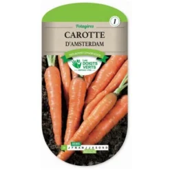 Graines - Carotte D'Amsterdam