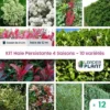 KIT Haie Persistante 4 Saison - 10 Variété- 12 Plante En Godet 2 KIT Haie Persistante 4 Saison - 10 Variété- 12 Plante En Godet -Flore Riche Soldes Magasin 59451045 1