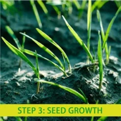 Tapis De Semences De Gazon Biodégradable Tapis De Culture D'herbe Tapis De Germination De Plantes Isolation Thermique Coupe-Vent 10mx0.2m -Flore Riche Soldes Magasin 59675167 4