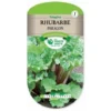 Rhubarbe Paragon 2 Rhubarbe Paragon -Flore Riche Soldes Magasin 60474442 1