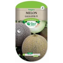 Melon Galia HYB.F1