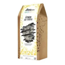 Kit Champignons Boite à Faire Soi-même. Multi. Marque : La Boite à Champignons. Réf. : DIY-AD