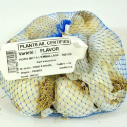 Ail Rose Variété Flavor. Bulbes à Planter - Filet 500 G -Flore Riche Soldes Magasin 61716982 3