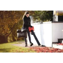 Souffleur Thermique 4 En 1 LBH2600P SCHEPPACH - 5911104903 11 Souffleur Thermique 4 En 1 LBH2600P SCHEPPACH - 5911104903 -Flore Riche Soldes Magasin 62597184 5