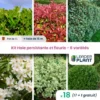 KIT Haie Persistante Et Fleurie 6 Variété – Lot De 18 Plant En Pot De 1L Pour Une Haie De 15m