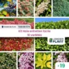 Kit Haie Brise Vue Entretien Facile – 10 Variétés – Lot 19 Plants En Godet -Flore Riche Soldes Magasin 67433243 1