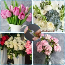 90 Fleur Tube De 2,8 Pouces De Long, Transparent Flacon Fleur Plastique Avec Bouchon Réutilisable Et Durable Pour Fleur D’Eau Conteneur, Tubes à Eau Fleur Décoration, Boutures Asclépiade Rose -Flore Riche Soldes Magasin 68272988 4