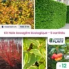 Kit Haie Bocagère Écologique – 5 Variétés – Lot De 12 Plants En Godet -Flore Riche Soldes Magasin 69767894 1