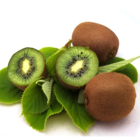 Kiwi Chinensis Solo (autofertile)/Pot De 1,5L 3 Kiwi Chinensis Solo (autofertile)/Pot De 1,5L