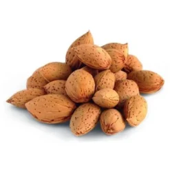 Flore Riche Soldes Magasin 10 Amandier Nain Dulcis/Pot De 5L