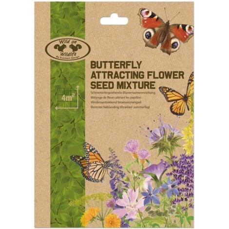 ESSCHERT DESIGN Mélange De Fleurs Pour Attirer Les Papillons 3 ESSCHERT DESIGN Mélange De Fleurs Pour Attirer Les Papillons