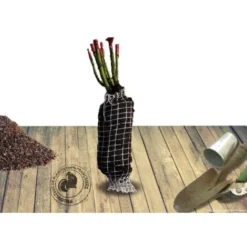 Rosier Arbustif Candia® Meillandecor® 'Meiboulka'/Pot De 2L -Flore Riche Soldes Magasin 82803355 2