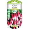 Graines De Radis De 18 Jours BIO Les Doigts Verts -Flore Riche Soldes Magasin 86501065 1