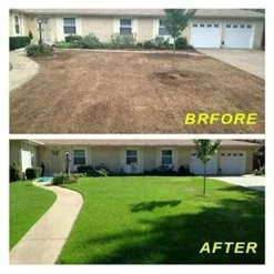 Tapis D'herbe Biodégradable, Tapis D'herbe Verte Pour Pique-nique, Tapis De Germination Des Plantes Pour Faire Pousser Des Graines D'herbe Dans Le Patio, La Pelouse, Le Jardin, Le Patio (16 -Flore Riche Soldes Magasin 87238287 4