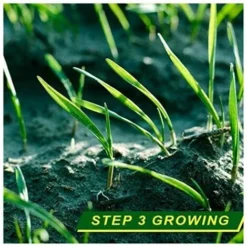 Tapis D'herbe Biodégradable, Tapis D'herbe Verte Pour Pique-nique, Tapis De Germination Des Plantes Pour Faire Pousser Des Graines D'herbe Dans Le Patio, La Pelouse, Le Jardin, Le Patio (16 -Flore Riche Soldes Magasin 87238287 5