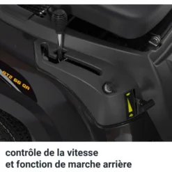 Alpina AT2 66 QA - Tracteur Tondeuse Thermique -Flore Riche Soldes Magasin 90899794 4