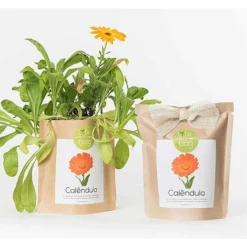 Sac Papier Prêt à Cultiver Calendula -Flore Riche Soldes Magasin 91732994 3