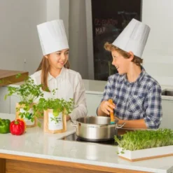 Sac Papier Prêt à Cultiver Camomille -Flore Riche Soldes Magasin 91733027 3