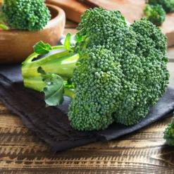 3 Plants Choux Brocolis Marathon F1