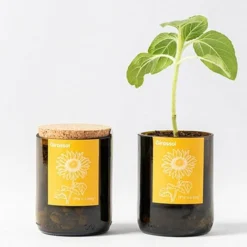 Flore Riche Soldes Magasin -Flore Riche Soldes Magasin 91733058 2