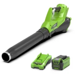Greenworks 40V Souffleur - Avec Une Batterie 2Ah Et Chargeur Vert