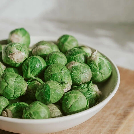 3 Plants Choux Bruxelles Bright F1 3 3 Plants Choux Bruxelles Bright F1