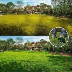 Chaussures Aerateur Pelouse, Aérateur De Pelouse Avec Sangles Réglables Et Boucles En Métal, Sandales Aérateur Pelouse Pour Pelouse Cour, Jardin, Pelouse (Vert) -Flore Riche Soldes Magasin 94093998 5