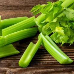 3 Plants Céleris Vert Lino Pot 7 Cm