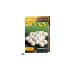 MYCÉLIUM SÉCHÉ DE CHAMPIGNONS CHOPÉS PACK DE 100GR.